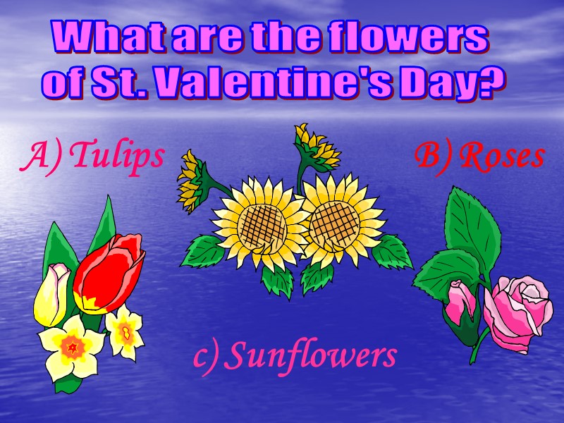 What are the flowers  of St. Valentine's Day? A) Tulips B) Roses c)